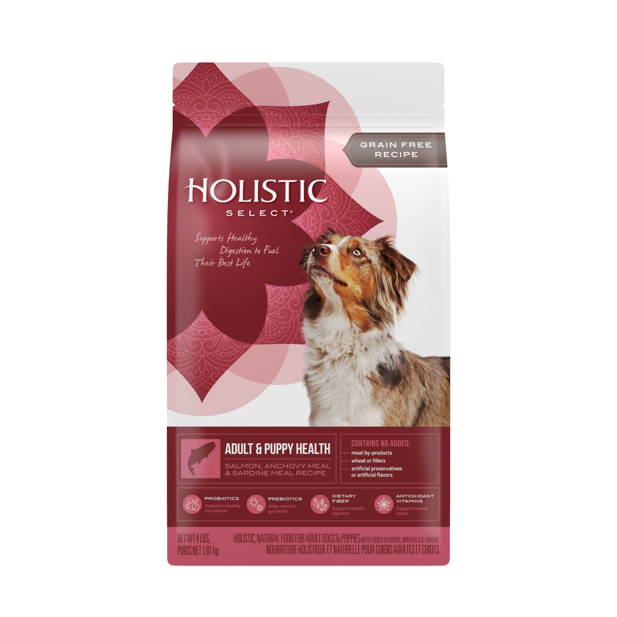 Holistic select grain free salmon hotsell anchovy and sardine dog food