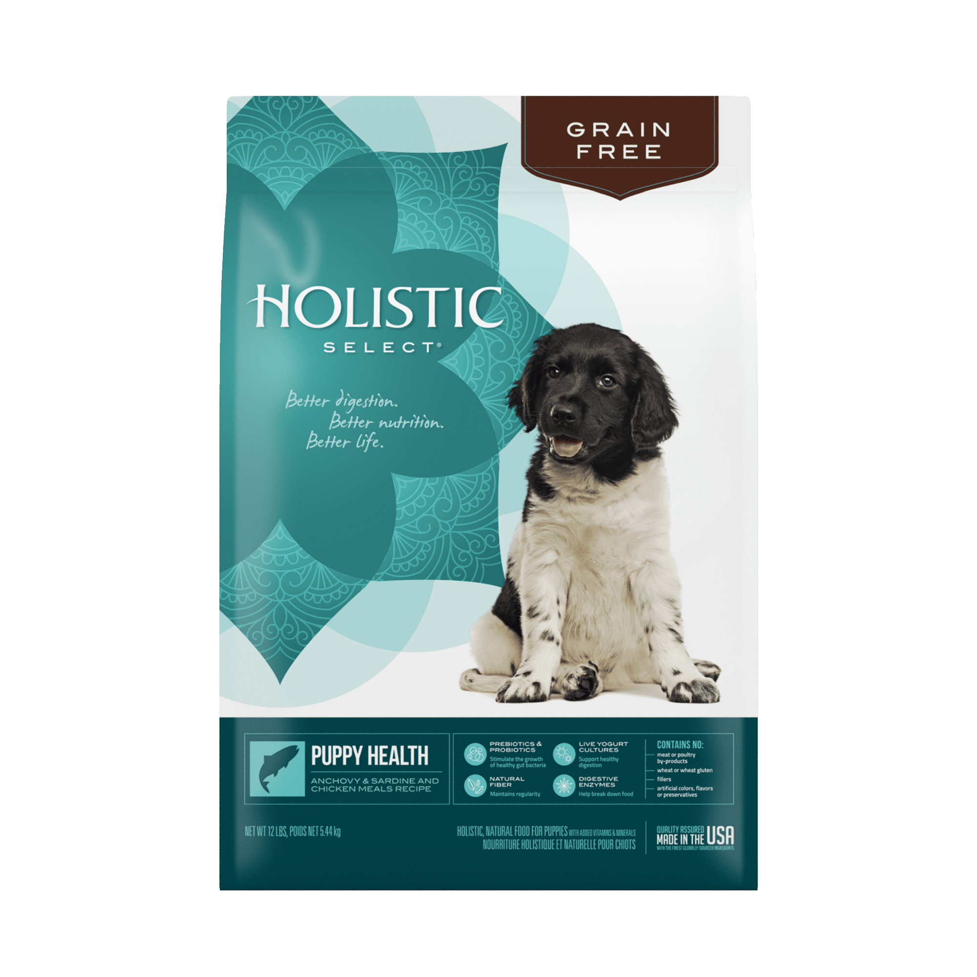 Holistic Select Natural Adult Health Large & Giant Breed Chicken