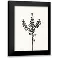 thumbnail image 1 of Holland, J. 12x14 Black Modern Framed Museum Art Print Titled - Ink Botanical Sketch II, 1 of 5