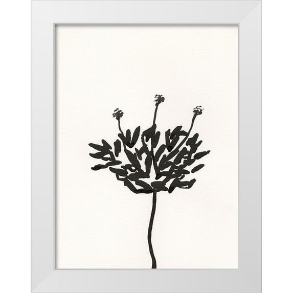 Holland, J. 25x32 White Modern Wood Framed Museum Art Print Titled - Ink Botanical Sketch III