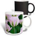 thumbnail image 1 of 3drose, Holland, Lisse, Keukenhof Gardens. Pink Tulips., 11oz Magic Transforming Mug, 1 of 7