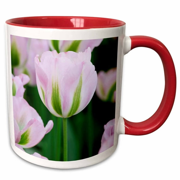 3drose, Holland, Lisse, Keukenhof Gardens. Pink Tulips., 11oz Two-tone Red Mug