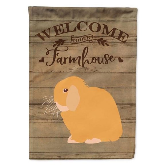 Holland Lop Rabbit Welcome Canvas House Flag - 28 x 0.01 x 40 in.