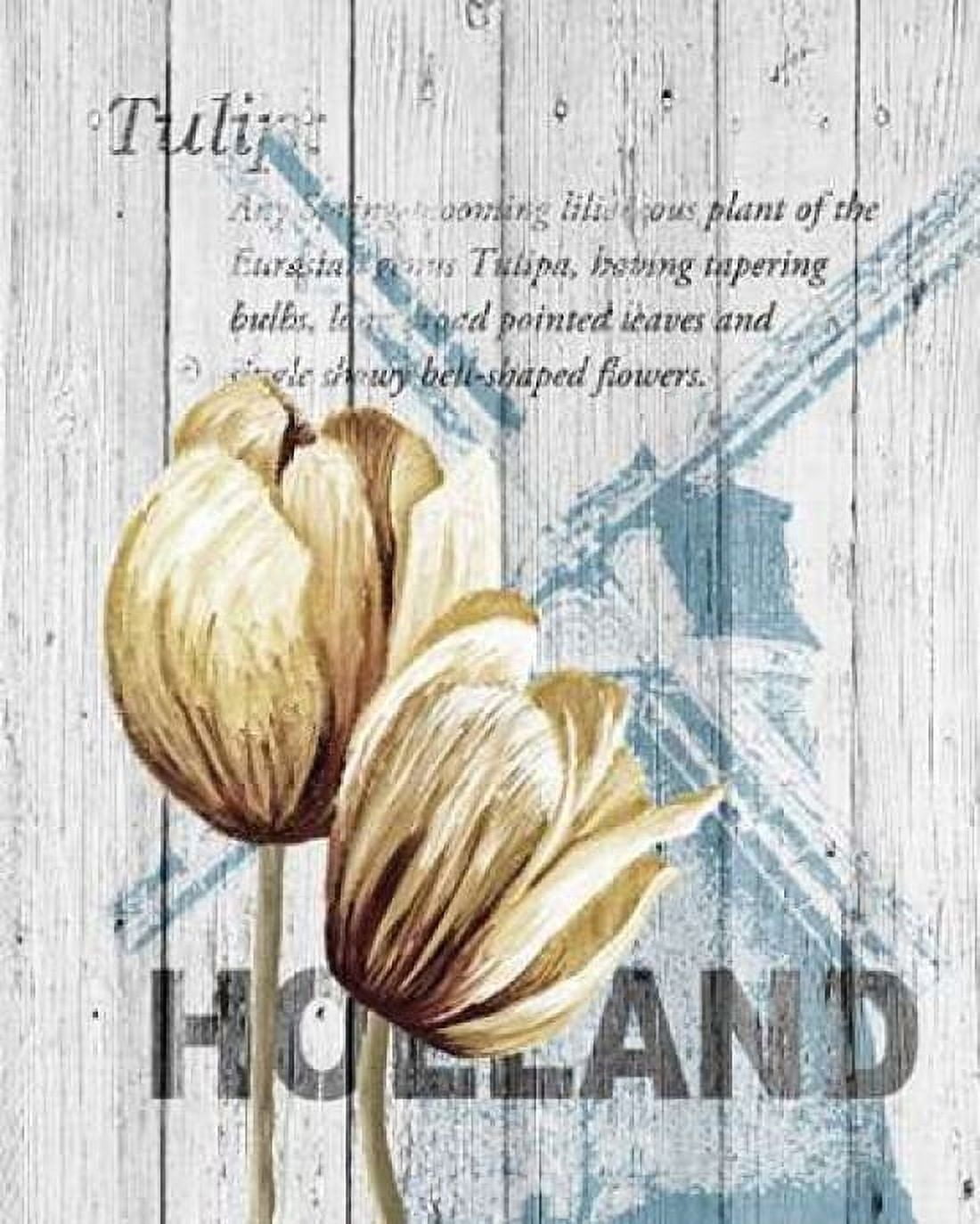 Holland Tulips Canvas Art - Alicia Soave (24 x 30)
