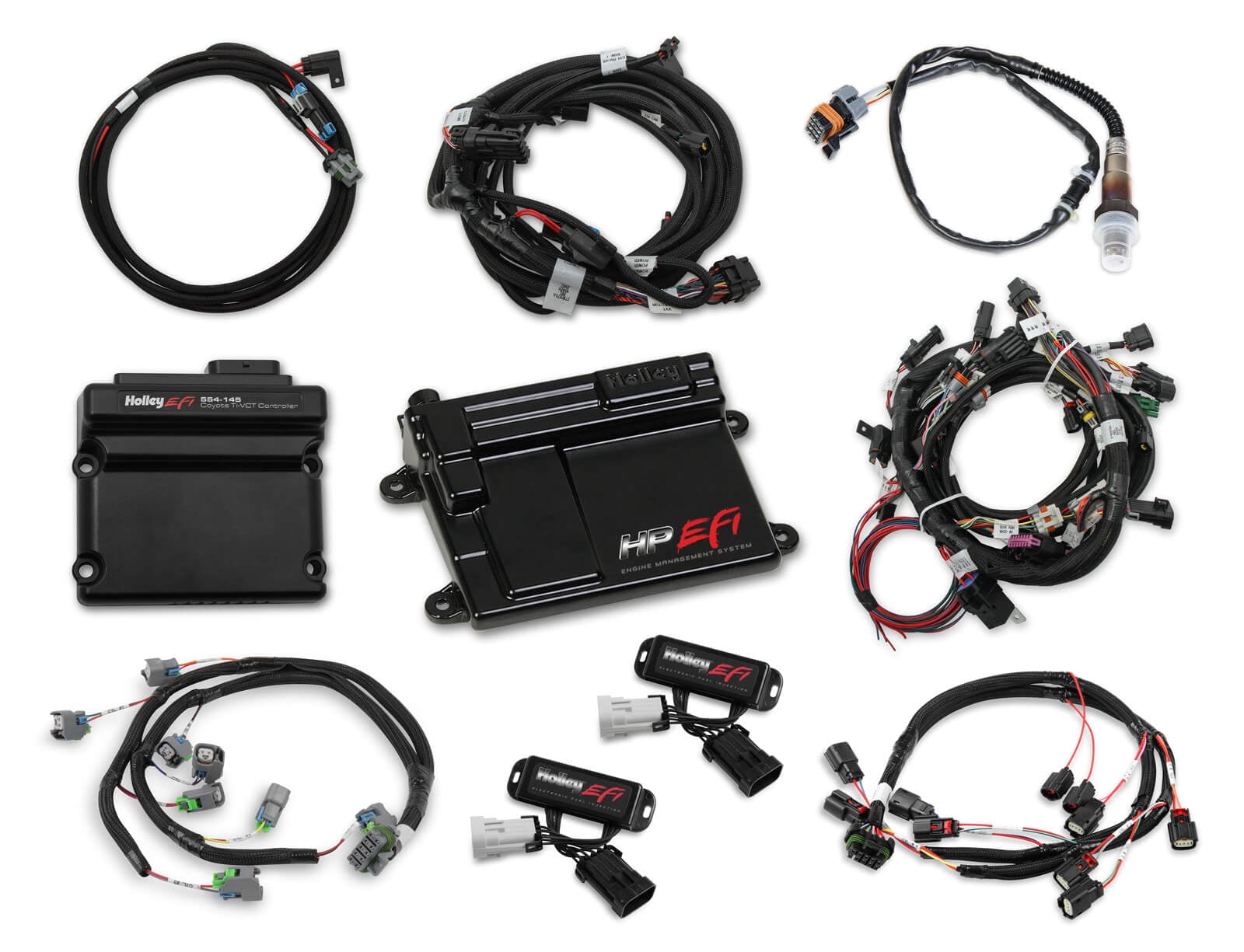 Holley EFI 550-619 Engine Control Module Fits select: 2012 FORD F150, 2012 FORD MUSTANG