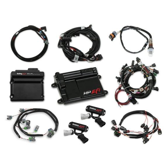 Holley EFI 550-619 Engine Control Module