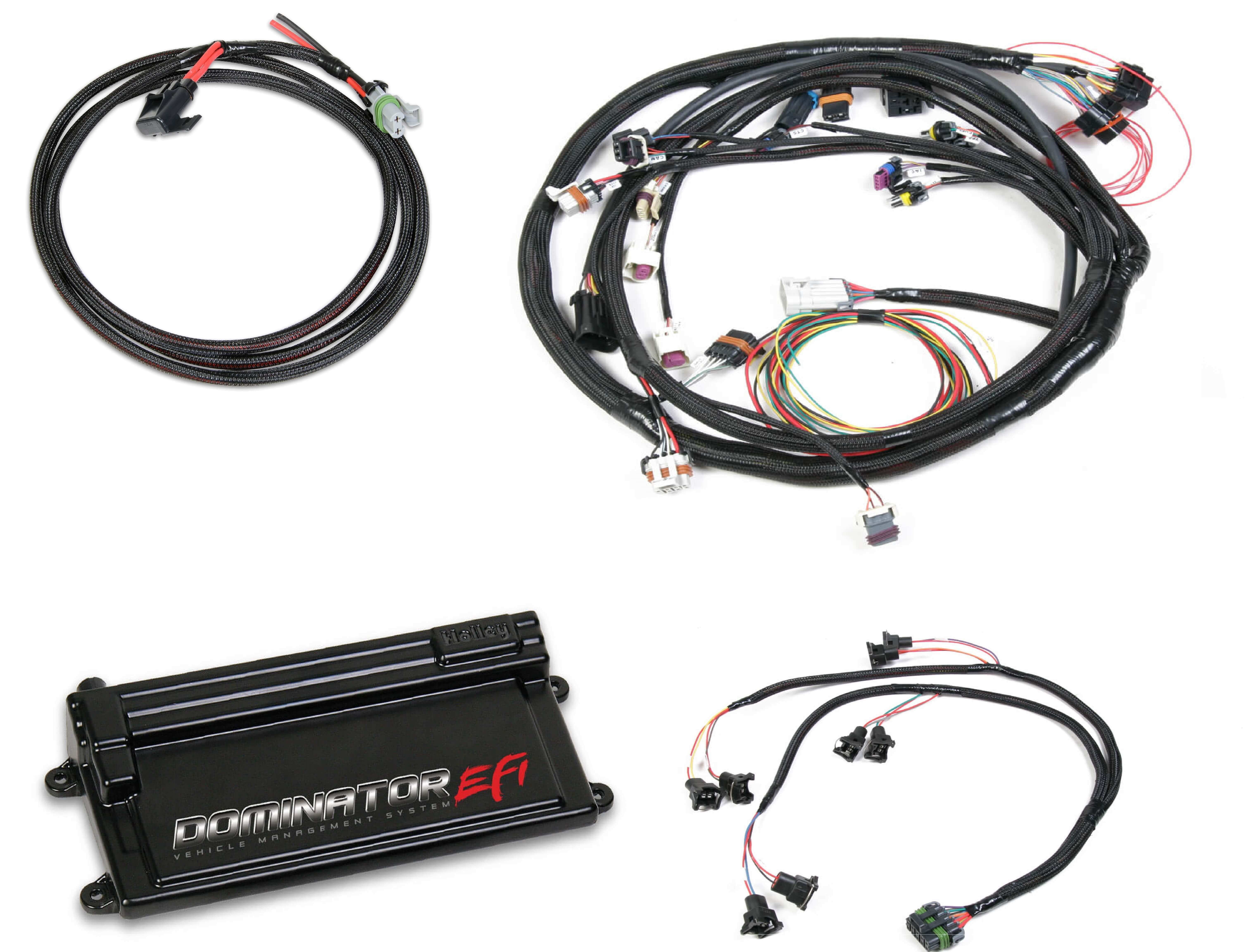 Holley EFI 550-653 Dominator EFI Kit - Main Harness with EV1 Injector Harness