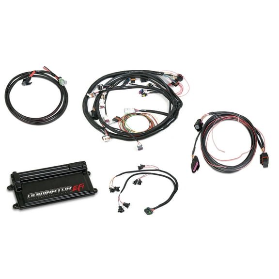 Holley EFI 550-659 Dominator EFI Kit - LS2 Main Harness with DBW and EV1 Injector Harness