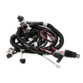 thumbnail image 1 of Holley EFI 558-111 Fuel Injection Harness, 1 of 1