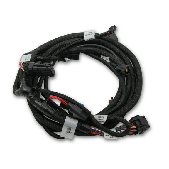 Holley EFI 558-124 Engine Wiring Harness