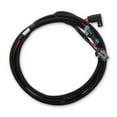 thumbnail image 1 of Holley EFI 558-319 Main Power Harness for Coyote Ti-VCT Applications, 1 of 3