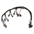 thumbnail image 1 of Holley EFI 558-322 Engine Control Module Wiring Harness, 1 of 5