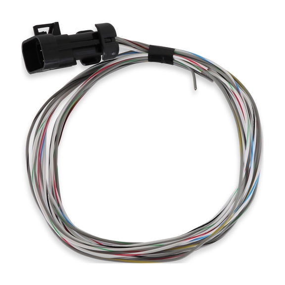 Holley EFI 558-462 Terminator X Input/Output Harness