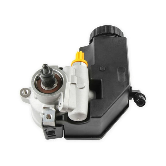 Holley Performance 198-101 Power Steering Pump