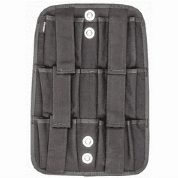 Hollis SMS Weight System Plate