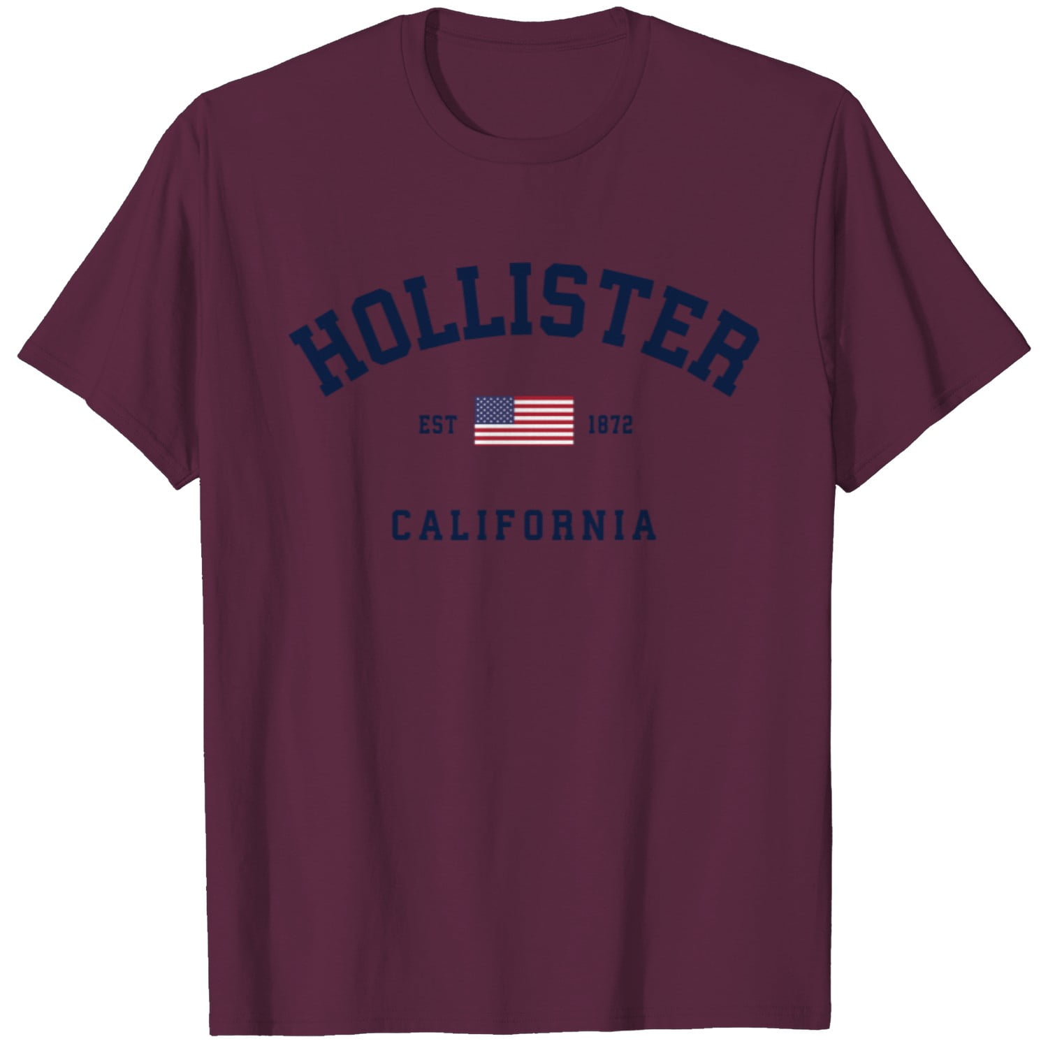 Hollister california t shirt shop
