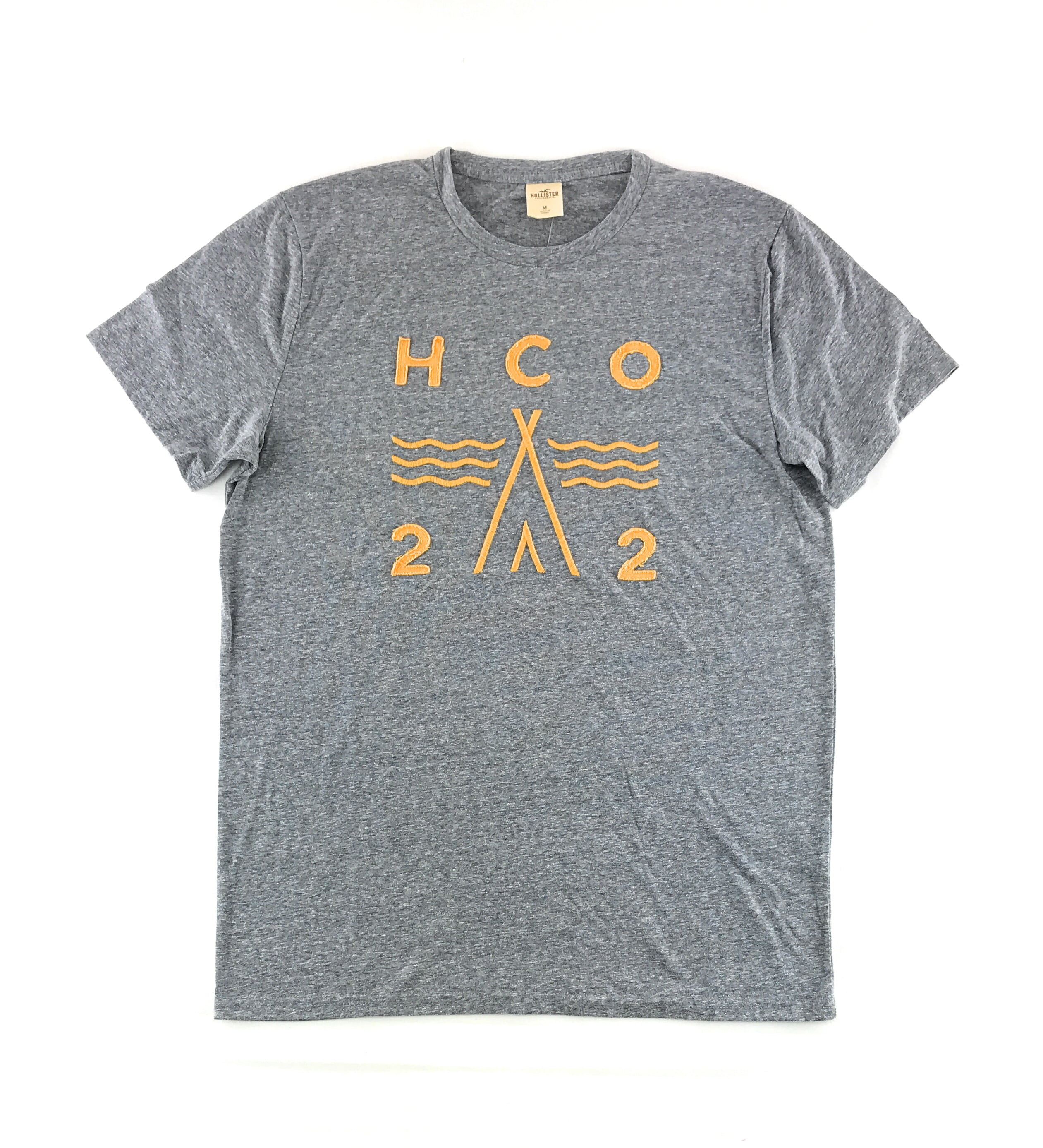 Hollister Mens Graphic T-shirt