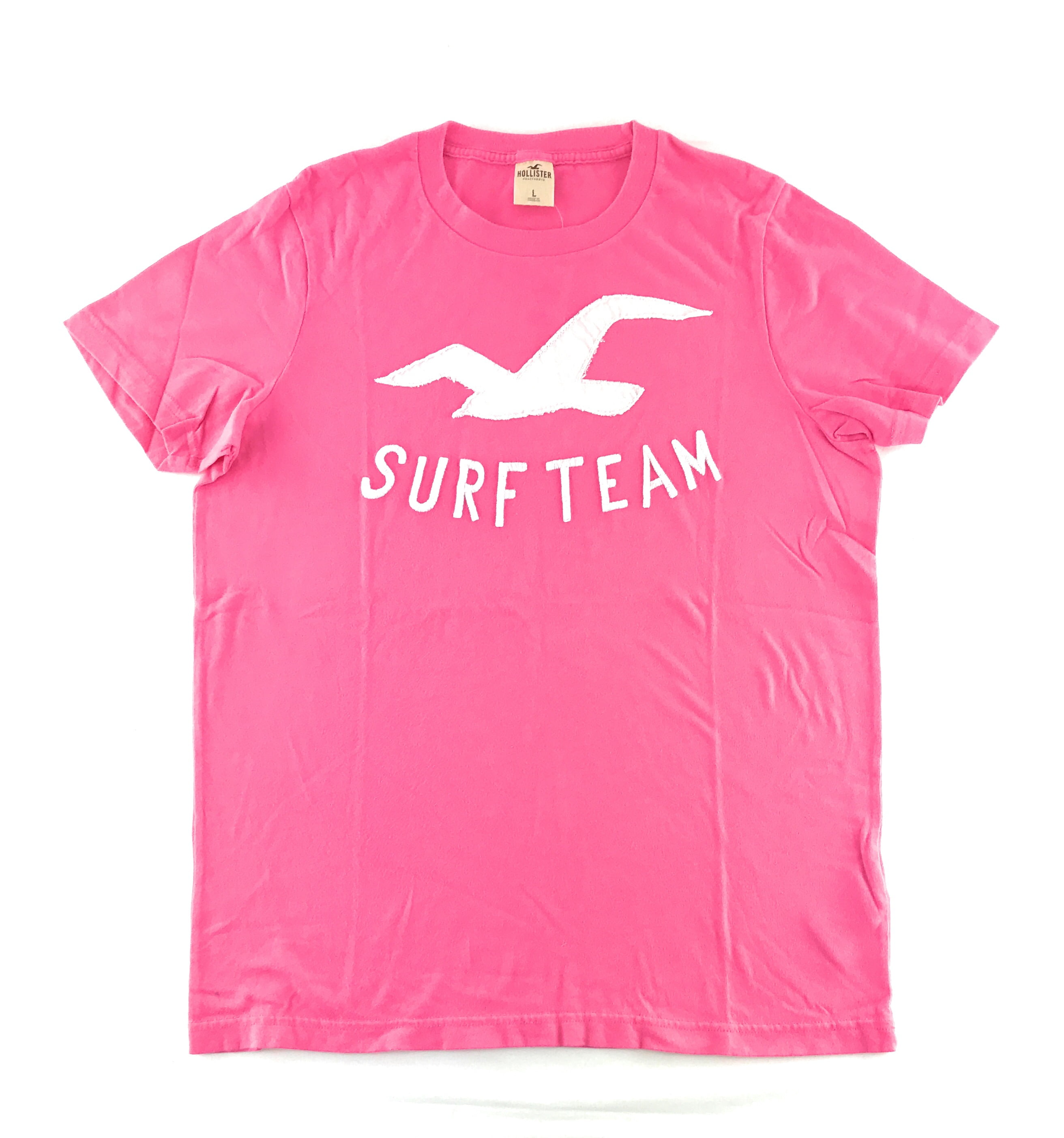 Hollister guys best sale t shirts