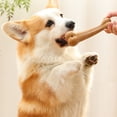 thumbnail image 1 of Hollow Dog Dental Chew Toys - Natural Wood & Plastic Bite-Proof Bone, Fillable Treat Dispenser for Teeth Cleaning & Anxiety Relief, Durable Gnaw Toy for Small/Large Dogs, 1 of 4