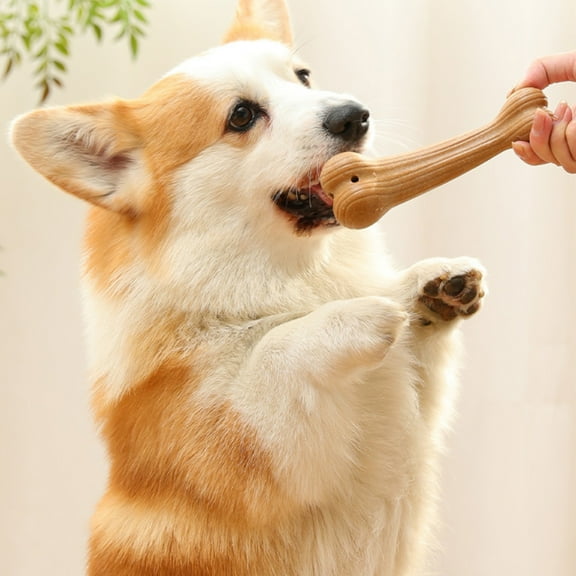 Hollow Dog Dental Chew Toys - Natural Wood & Plastic Bite-Proof Bone, Fillable Treat Dispenser for Teeth Cleaning & Anxiety Relief, Durable Gnaw Toy for Small/Large Dogs