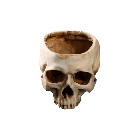 Hollow Skull Planter Decorative Prop for Indoor Outdoor Use Realistic Skull Head Design for Halloween and Home Decor