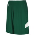 thumbnail image 1 of Holloway Sportswear L Boys Dual-Side Single Ply Basketball Shorts Forest/White 224279, 1 of 6