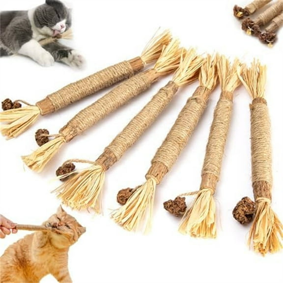 Holloyiver 5 PCS Natural Silvervine Sticks Cat Toy, Catnip Dental Toy for Kitten Teeth Cleaning, Cat Dental Toy, Cat & Kitten Chew Toys for Aggressive Chewer, Easy to Carry Vine Sticks