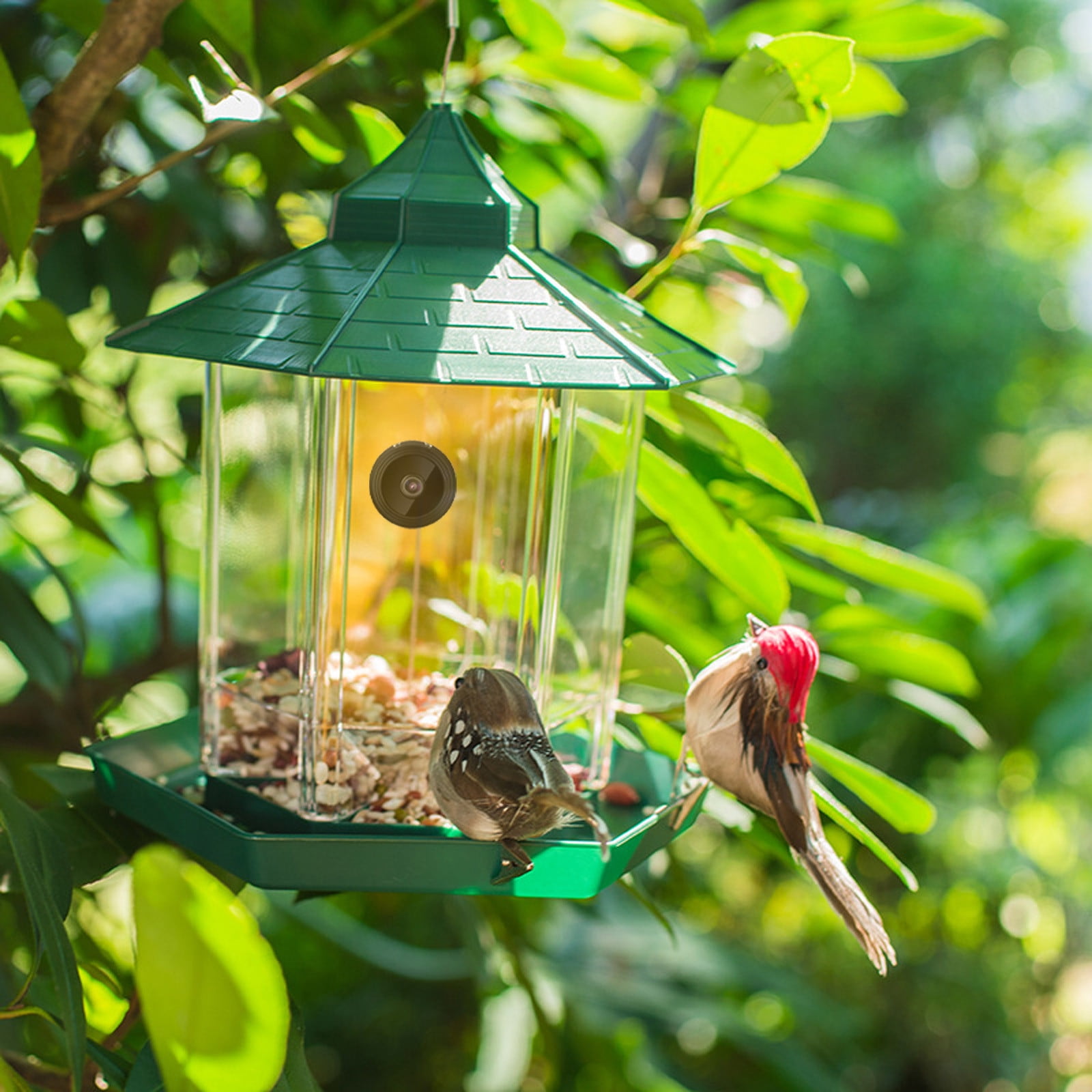 Holloyiver Bird Feeder with Camera,1080P HD Night Version Bird Watching WiFi Camera, IP65 Waterproof Bird House with Built-in Microphonel, Auto Capture Bird Video