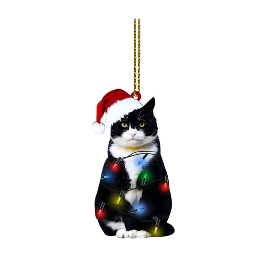 Holloyiver Black Cat Christmas Ornament - Birthday Gift for Cat Lovers - Black Cat Xmas Decor Tree Hanging - 2024 Christmas Ornament - Car Hanging Ornaments