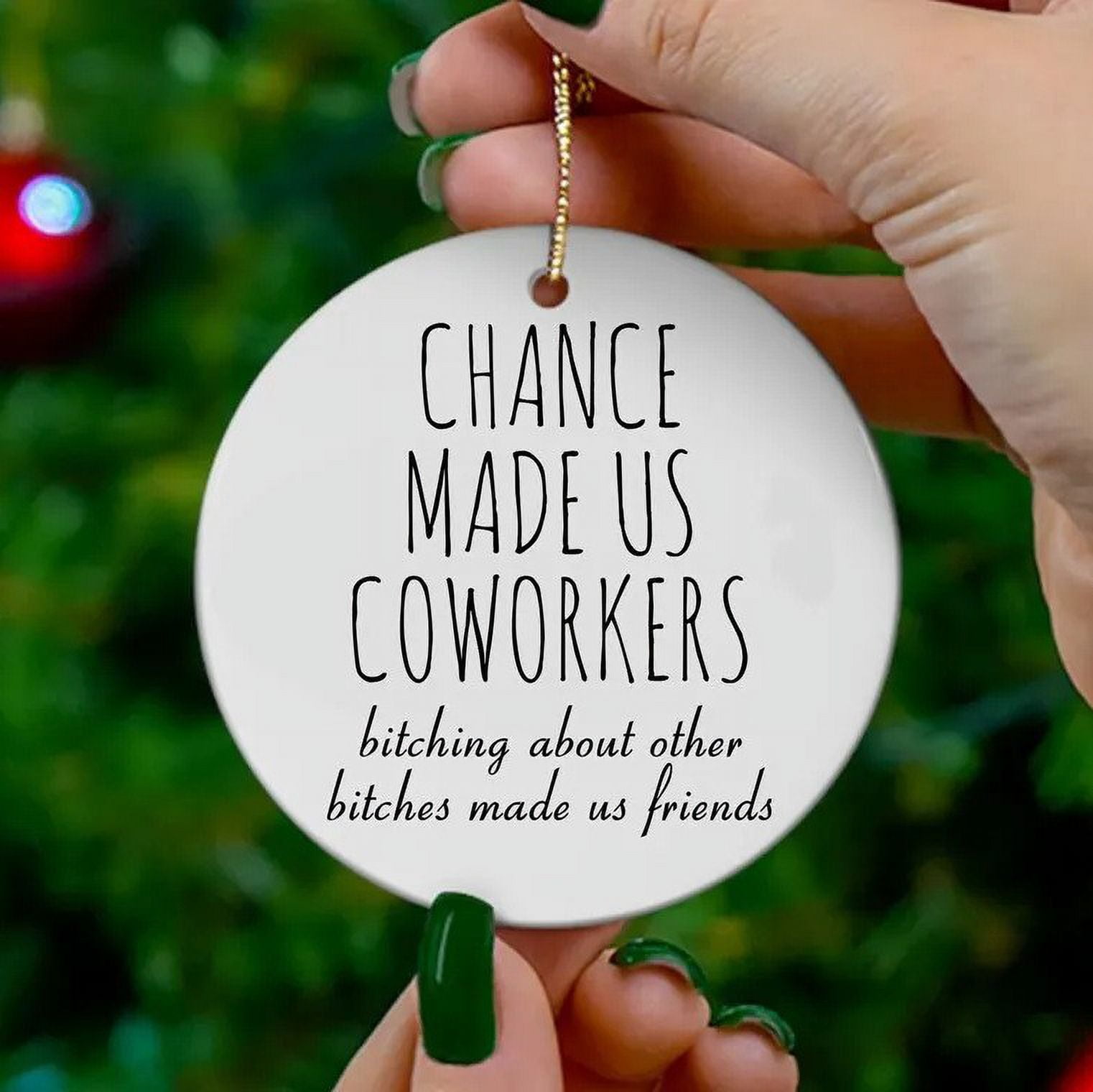 Holloyiver Funny Friendship Ornament, Friendship Ornament Dumb Gifts