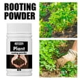 thumbnail image 1 of Holloyiver Rooting Powder for Easy to Root Plants, Rooting Hormone for Plant Cuttings, Fast & Effective, Include 13 Essential Nutrients Without Dye, Gel & Preservatives for Healthier Roots, 50g, 1 of 7