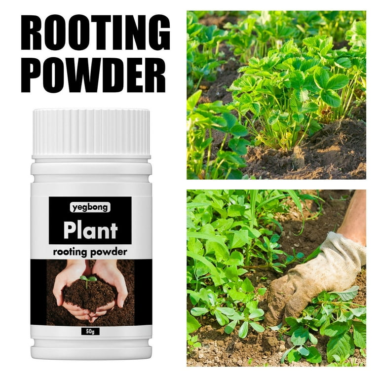 Holloyiver Rooting Powder for Easy to Root Plants, Rooting Hormone for  Plant Cuttings, Fast & Effective, Include 13 Essential Nutrients Without  Dye, ...