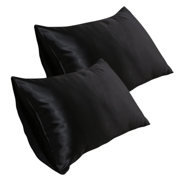 Holloyiver Silk Pillowcase for Hair and Skin Health, 20''x30'' Standard Size Pillow Case with Hidden Zipper, Allergen Proof Dual Sides Soft Breathable Smooth Silk Pillow Cover (Black)