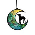 thumbnail image 1 of Holloyiver Stained Glass Dog Memorial Gifts for Dog Lovers, Black Dog Decor on Moon Window Hanging Suncatcher, Loss of Dog Sympathy Gift, Pet Loss Remembrance Gift in Memory of Dog, 1 of 3
