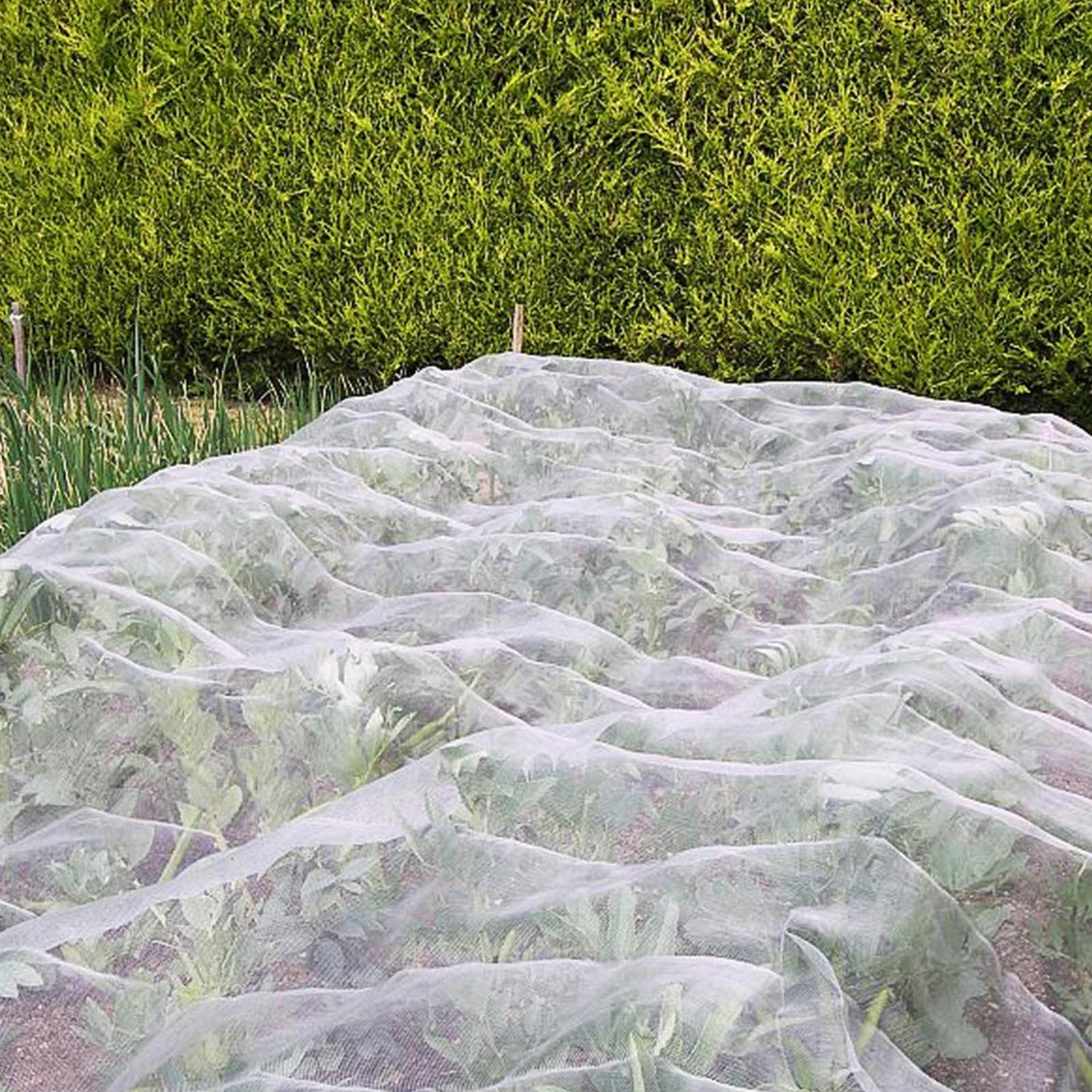 Holloyiver Unves 10'x33' Garden Netting, Mosquito Netting Plant Covers