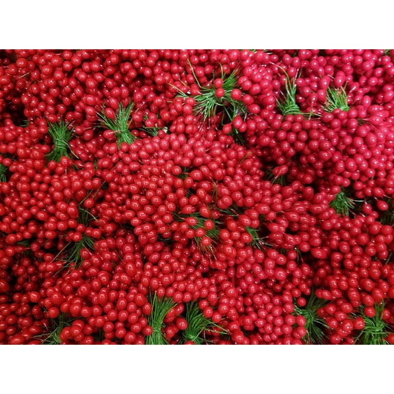 Holly Berries Double Ended Floral Stems Stamen Peps (Pack of 72)