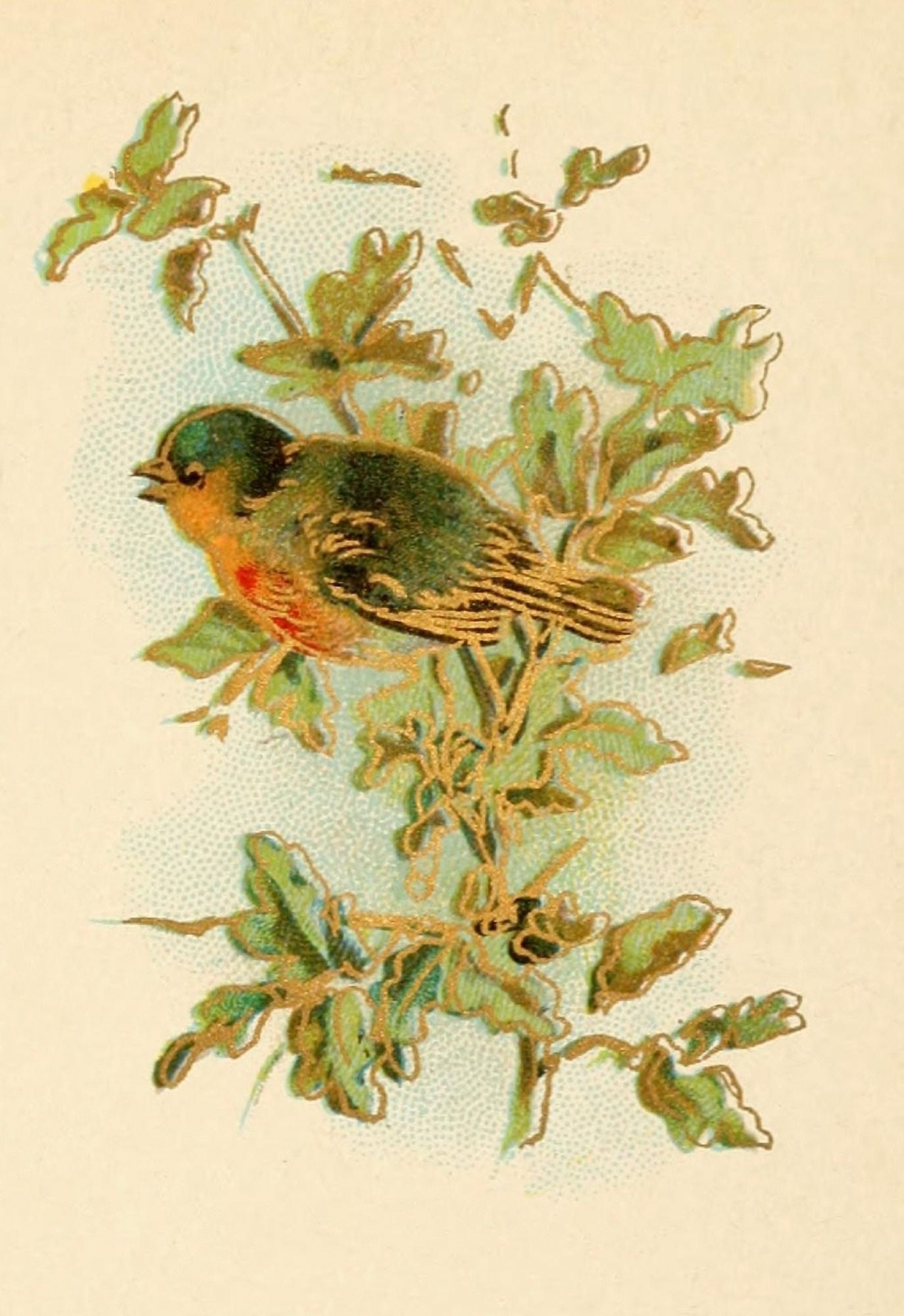 Holly Berries from Dickens 1898 Robin in holly Canvas Art - Unknown (24 x 36)