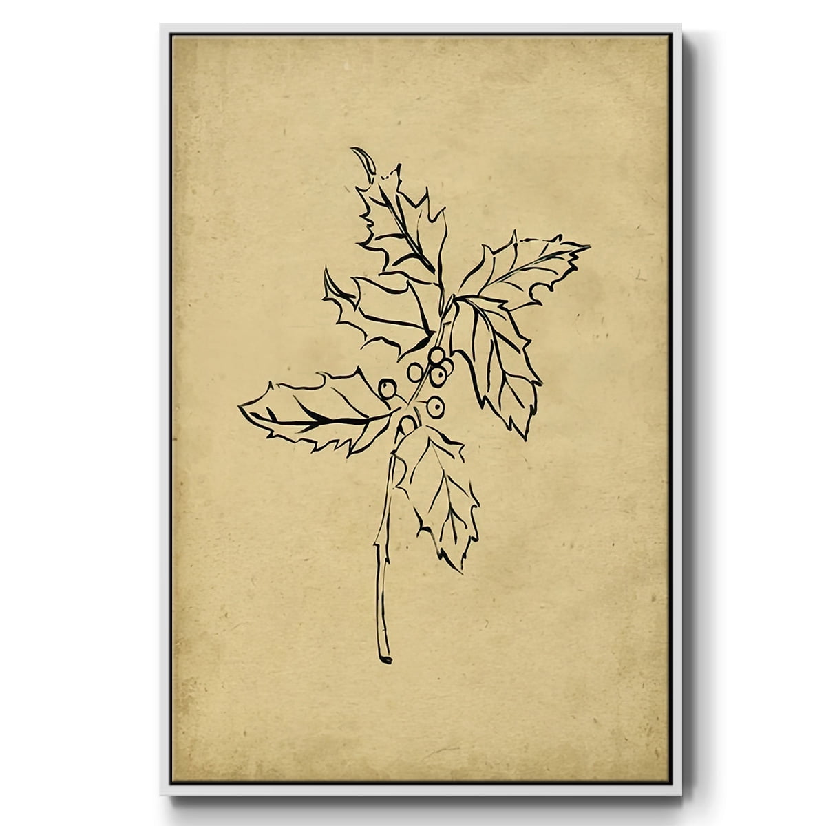 Holly Branch I - Framed Gallery Wrapped Holiday Canvas - 25 x 37 - White Frame