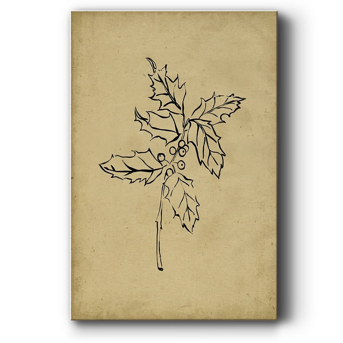 Holly Branch I- Gallery Wrapped Canvas