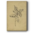 thumbnail image 1 of Holly Branch I- Gallery Wrapped Canvas, 1 of 9