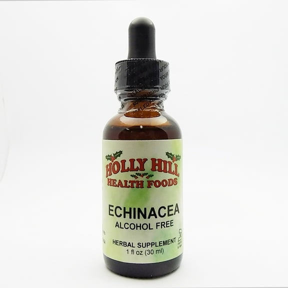 Holly Hill Health Foods, Echinacea, Alcohol Free, 1 Ounce