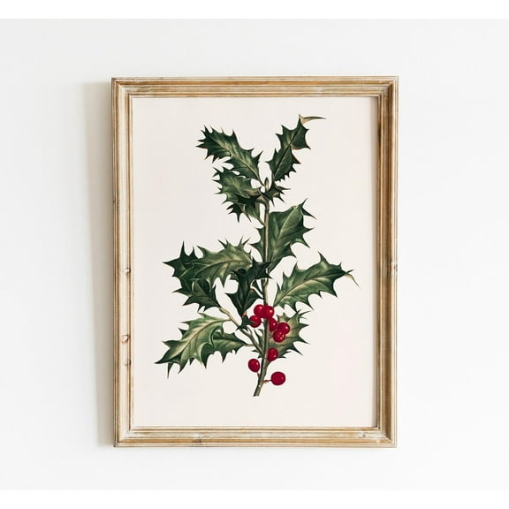 Holly Plant Vintage Wall Art, Winter Festive Botanical Antique Print, Festive Wall Art, Winter Theme, Poster, Unframed Canvas Size 16x24