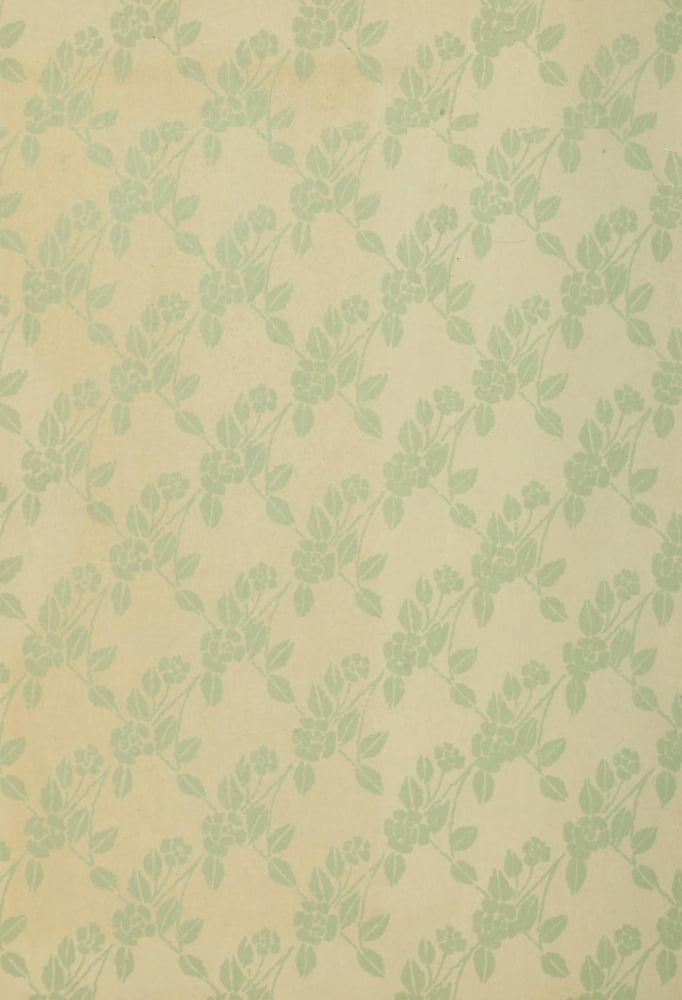 Holly from Tennyson 1900 Endpaper Canvas Art - Unknown (24 x 36)