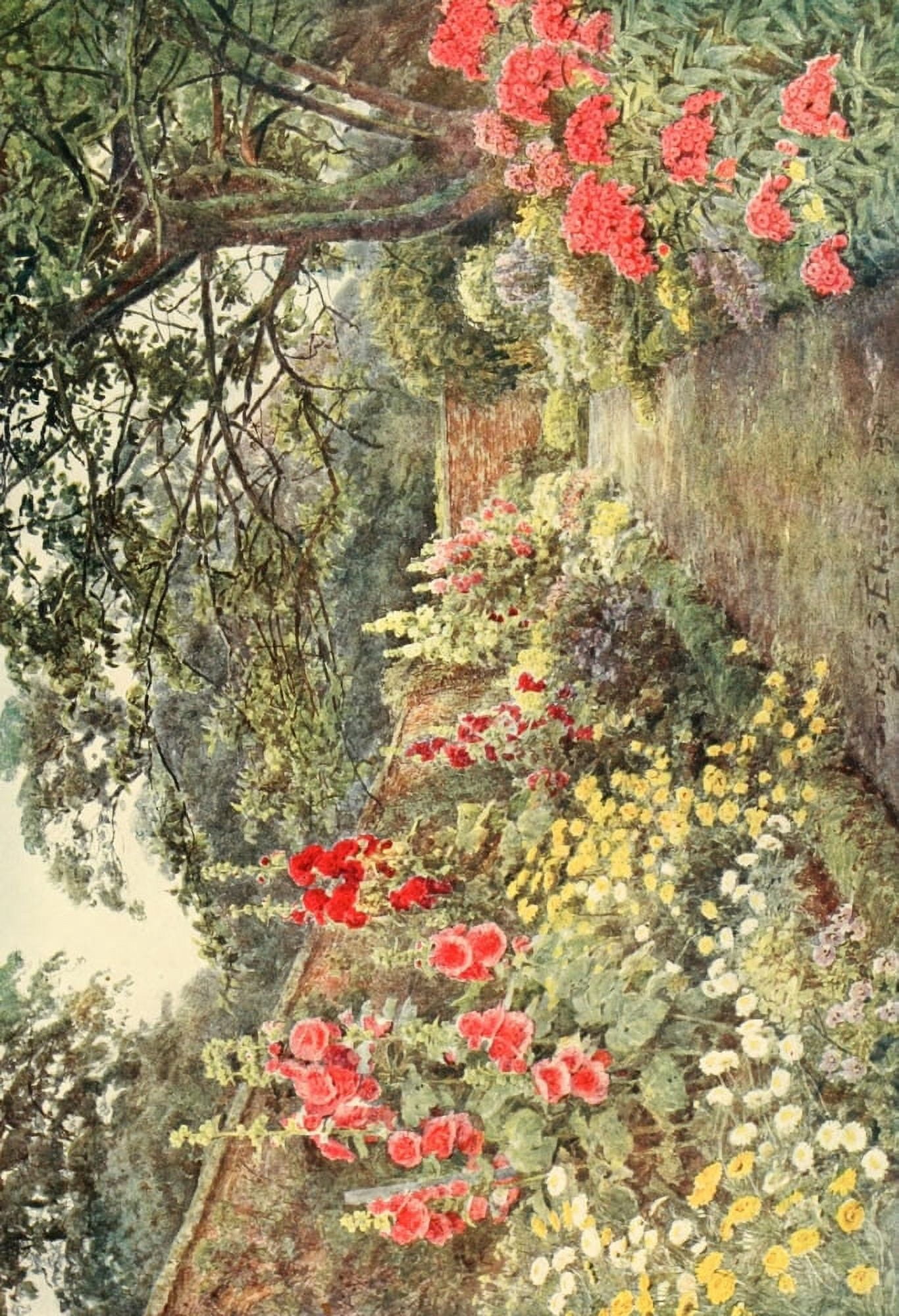 Hollyhocks Canvas Art - George S Elgood (24 x 36)