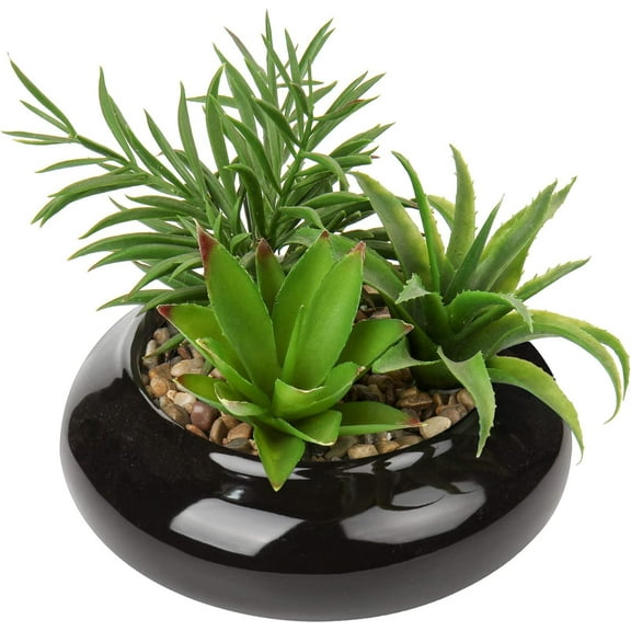 Hollyone Small Succulents Artificial 3 Pcs Faux Succulents in Pots Fake Succulent Plants with Black Ceramic Pots for Modern Home Office Desk Bathroom Shelf Living Room Decor