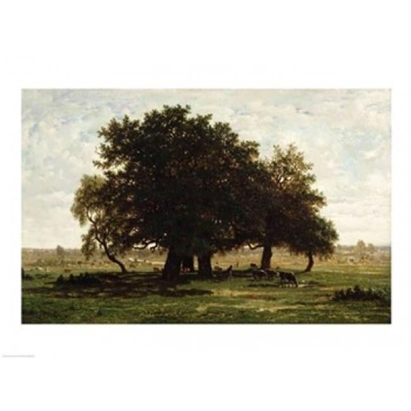 Holm Oaks Apremont Poster Print by Henri Rousseau - 36 x 24 in. - Large