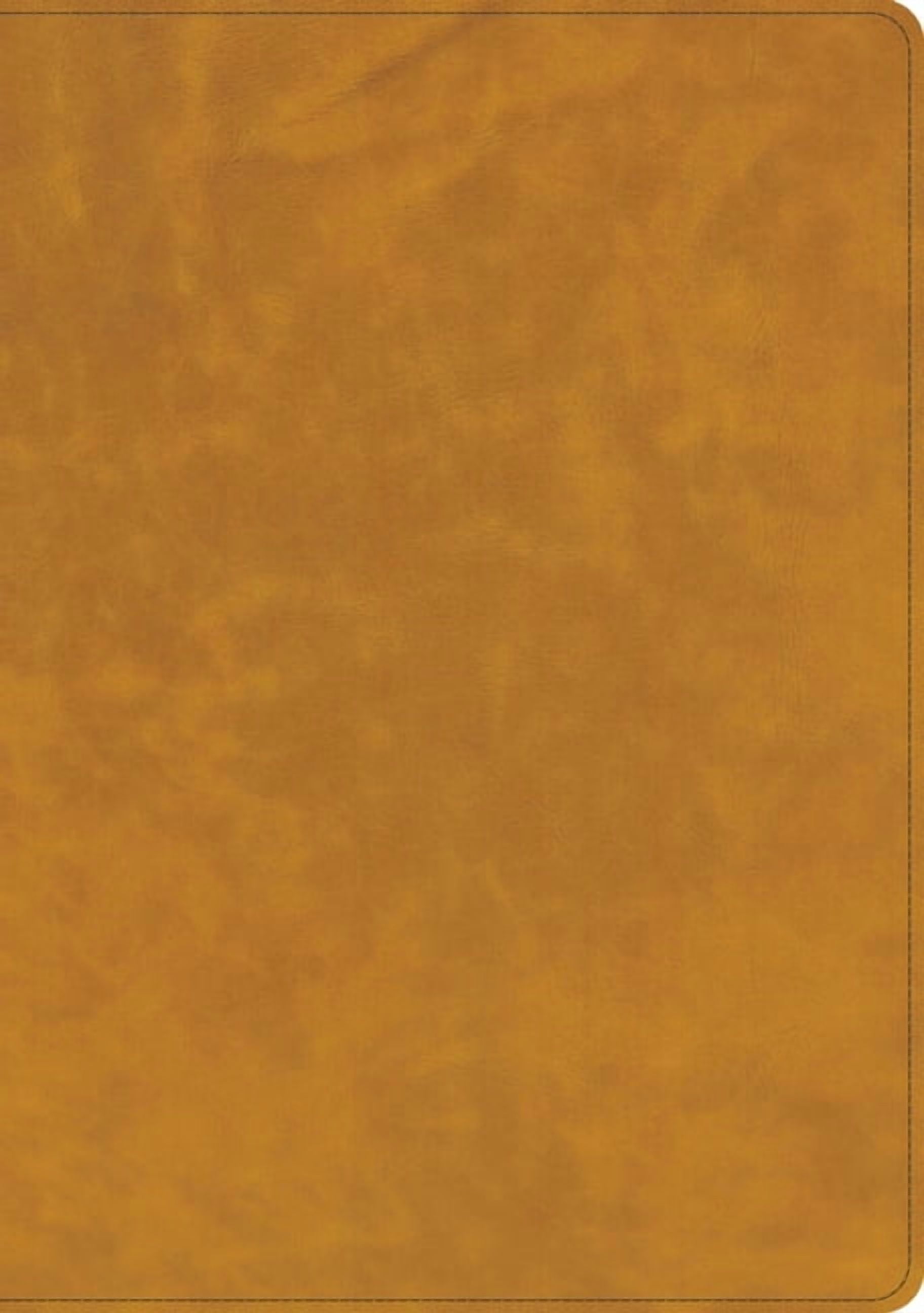 Holman Handcrafted Collection CSB Lumen Dei Bible, Lux Gloriae: Single-Column Wide-Margin Edition, Holman Handcrafted Collection, Easy-To-Read Optimal, (Hardcover)