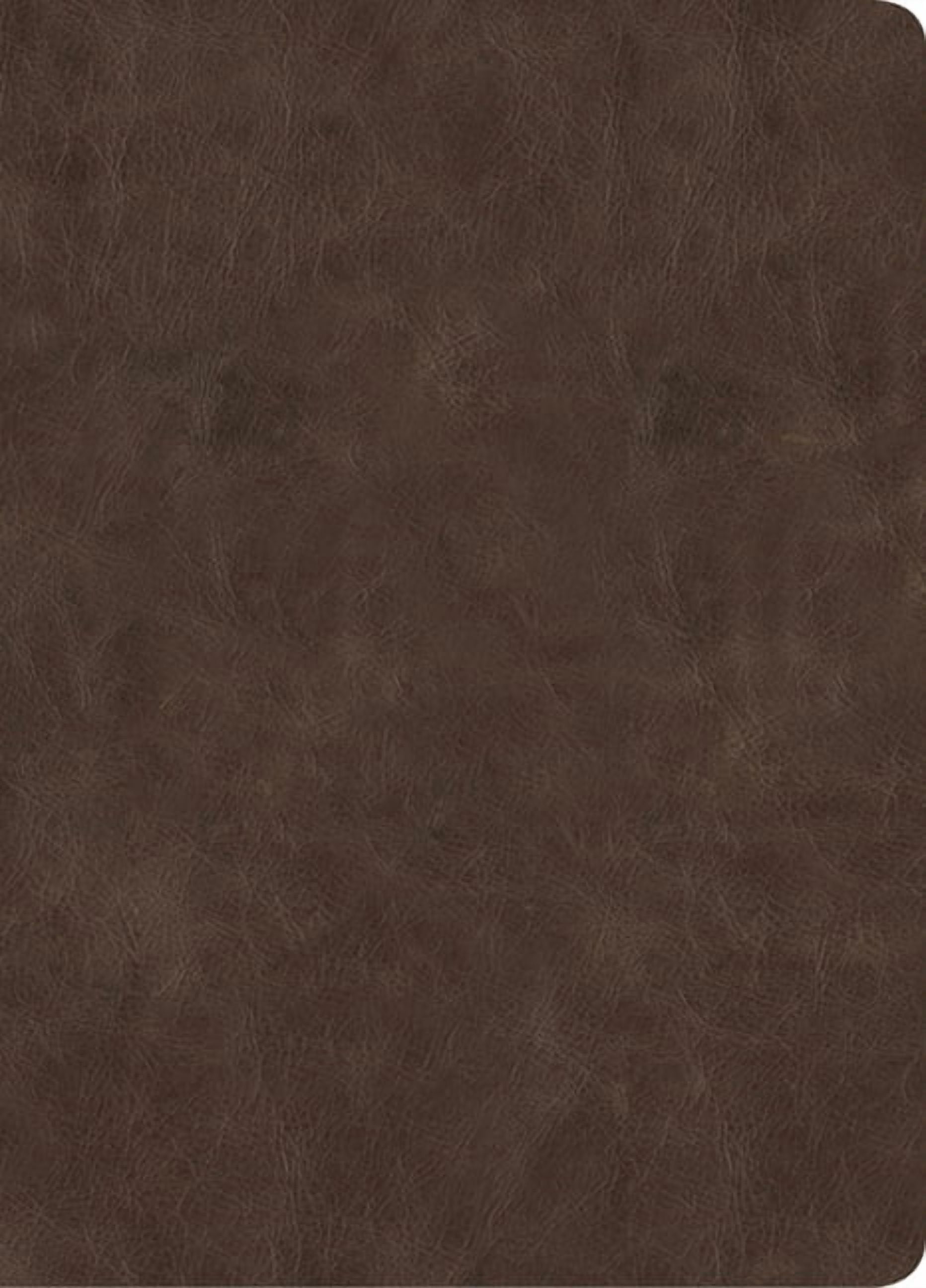 Holman Handcrafted Collection CSB Lumen Dei Bible, Lux Gloriae: Single-Column Wide-Margin Edition, Holman Handcrafted Collection, Easy-To-Read Optimal, (Hardcover)