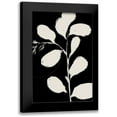 thumbnail image 1 of Holman, Nicholas 13x18 Black Modern Framed Museum Art Print Titled - Botanical Silhoette II, 1 of 5