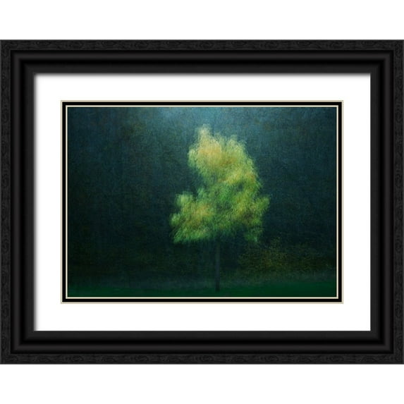 Holmstrom, Katarina 24x18 Black Ornate Wood Framed with Double Matting Museum Art Print Titled - Yellowing